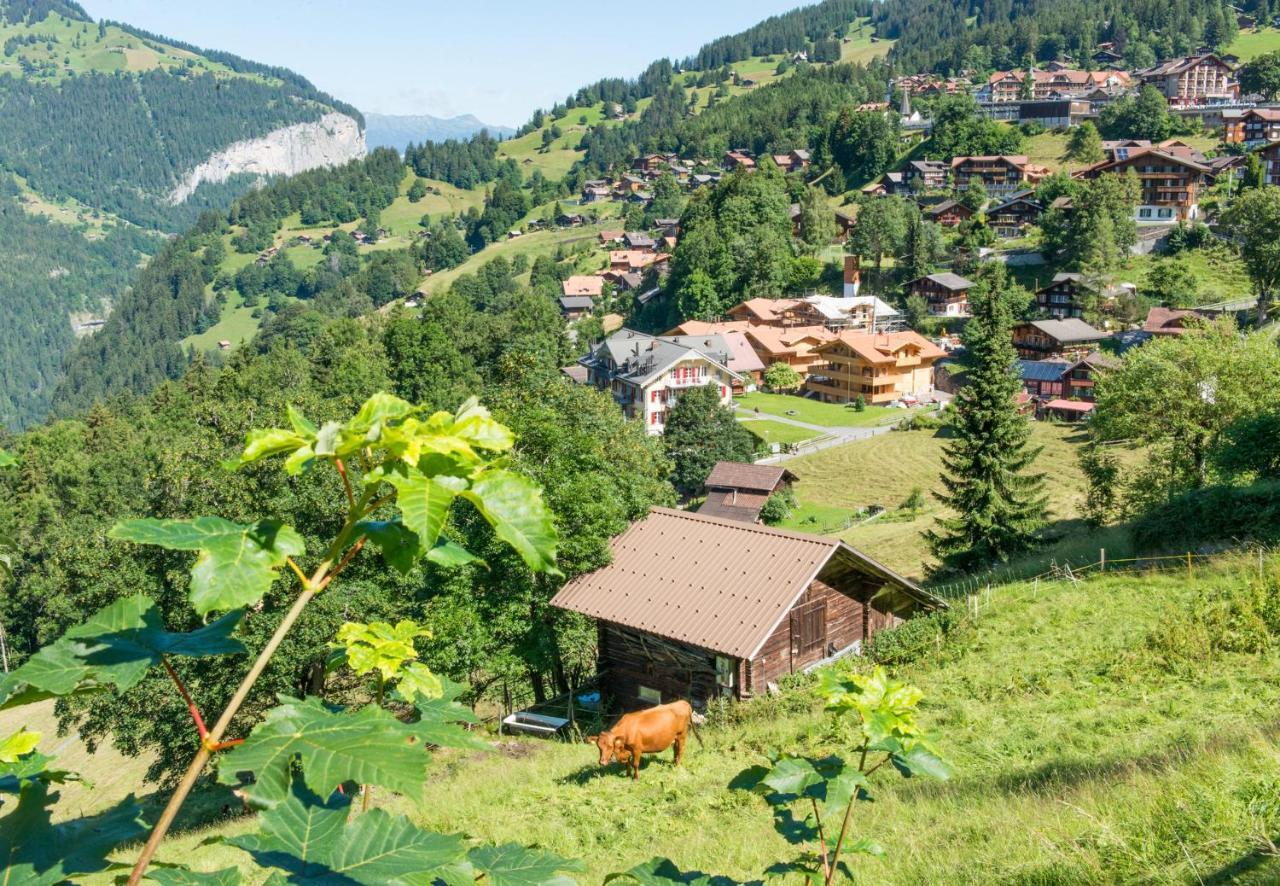 Panoramapark Soleil Chalet C Wengen Ngoại thất bức ảnh